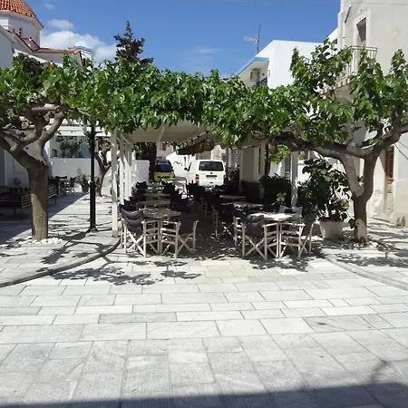 Villa Andros Stone Sea View *